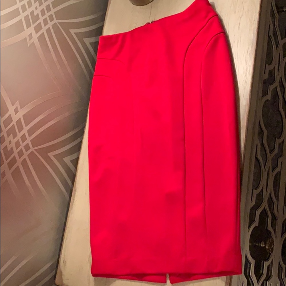 Limited Pencil Skirt